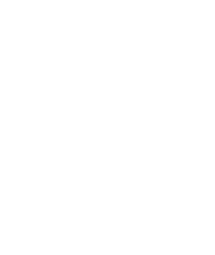 Logo clair de vsgp